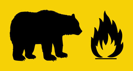 bearsfire.jpg