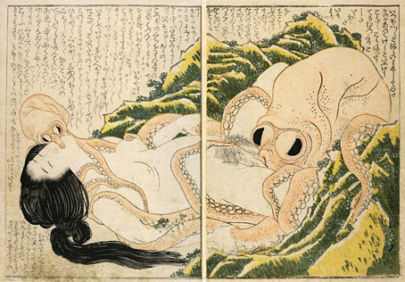 octopus07.jpg