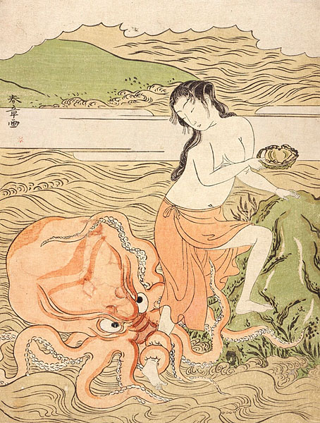 octopus11.jpg